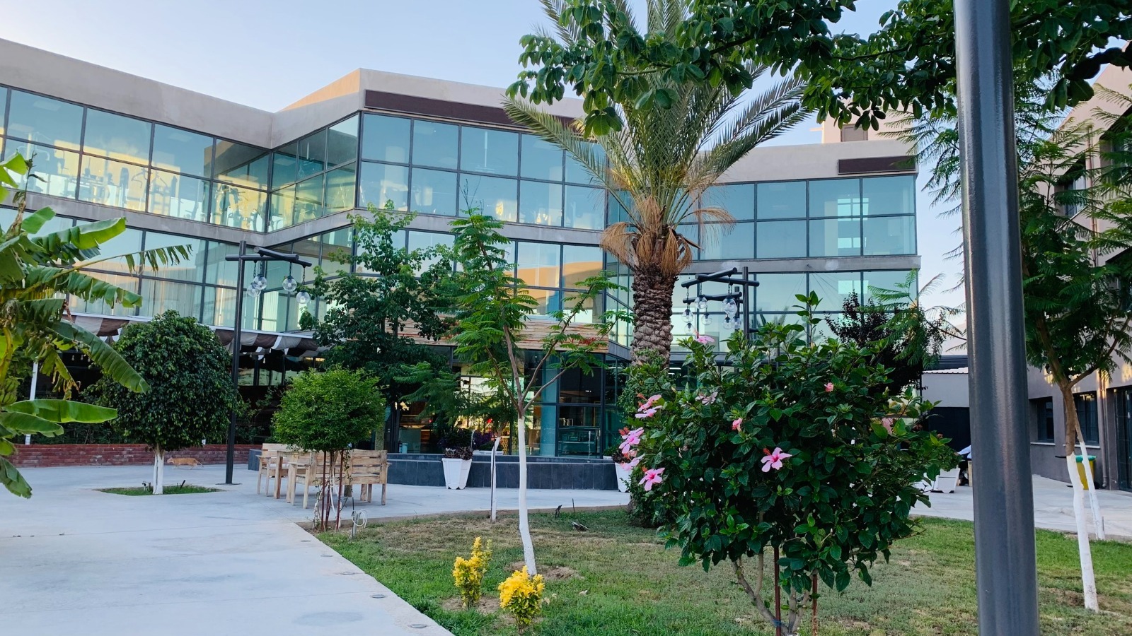 Uluslararası Alasia Üniversitesi İlk Burs ve Sıralama Sınavını 29 Ağustos’ta Yapıyor Uluslararası Alasia Üniversitesi İlk Burs ve Sıralama Sınavını 29 Ağustos’ta Yapıyor