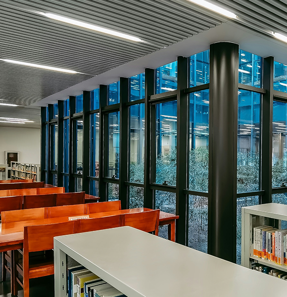Uluslararası Alasia Üniversitesi