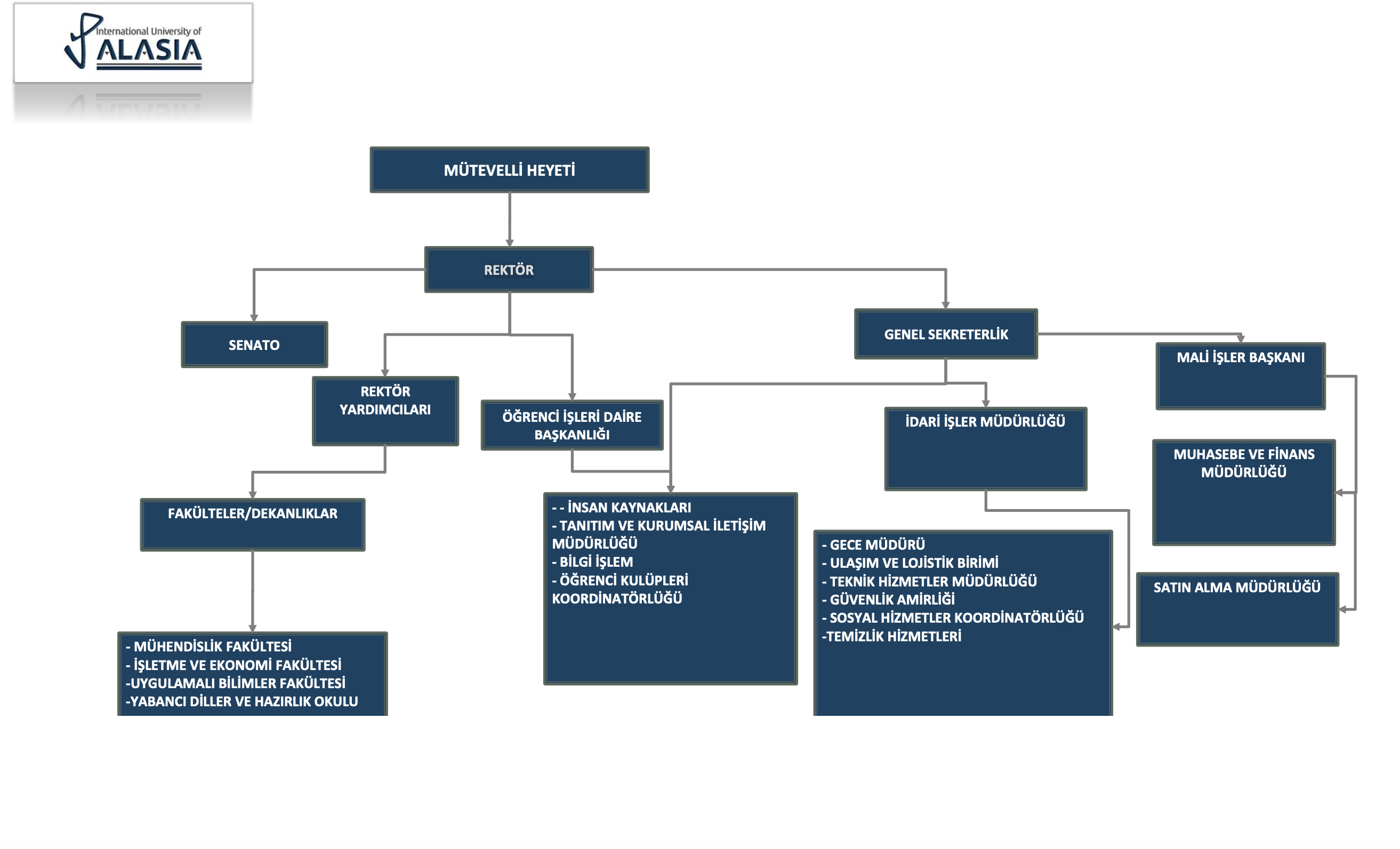Organizational Chart