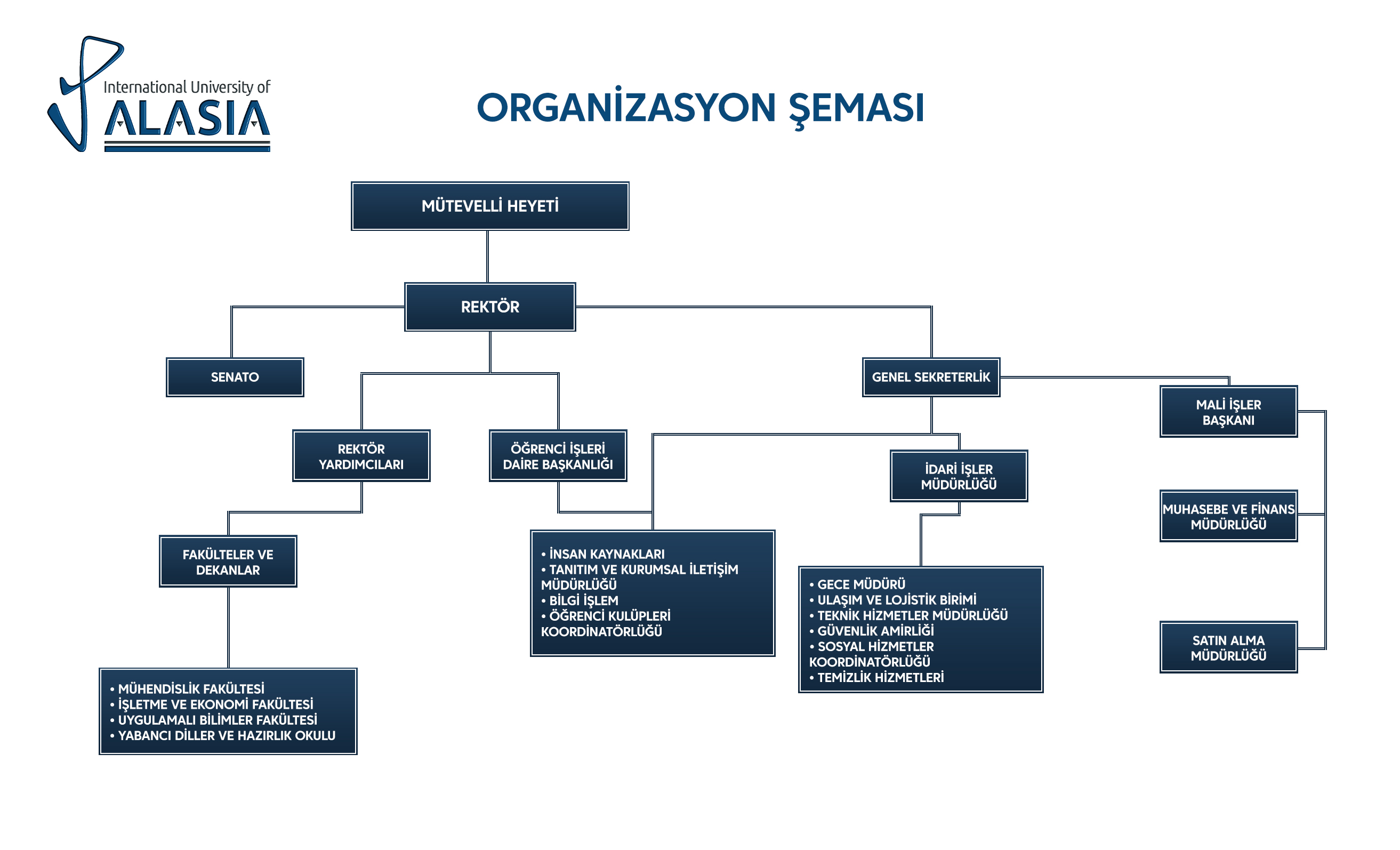 Organizational Chart
